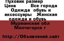 Пуховик размер 42-44 › Цена ­ 750 - Все города Одежда, обувь и аксессуары » Женская одежда и обувь   . Мурманская обл.,Мончегорск г.